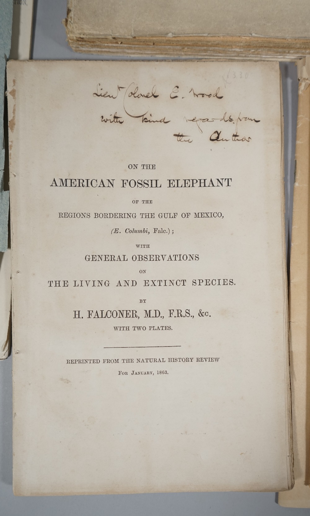 ELEPHANTS - Hugh FALCONER (1808-65). - Image 2 of 3