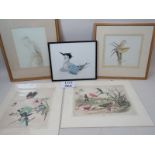 A collection of five ornithological prints and watercolours, two signed by Nicholas Day,