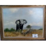 After David Shepherd (1931-2017)- 'Elephant', oil on board, 54cm x 74cm,