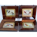 A set of 4 19th century Chinese School painted rice paper panels, depicting birds,