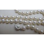 A pearl necklace with 14ct white gold cl