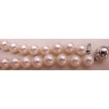 A twenty two pearl bracelet with 18ct wh