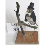 A taxidermy finch on a branch with top hat and frock coat est: £30-£5-