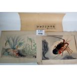 Two antique Japanese prints depicting sea creatures,