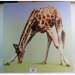 Robina Yasmin (contemporary) - `Tatum', (Giraffe), oil on canvas,