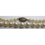 A strand of individually knotted graduated pearls, with 9ct gold clasp, approx 22" long,