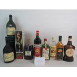 A mixed lot spirits and aperitifs to include Lethe Ouzo, Seve de Vielle Fine Grappa, etc,