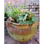 A decorative garden plant pot in the manner of Compton, previous repairs, a/f, complete with plant,