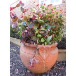 A decorative garden plant pot in the manner of Compton, previous repairs, a/f, complete with plant,