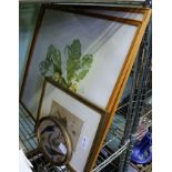 A TRIO OF BOTANICAL PRINTS BEARING THE NAME HUNT together with a framed antique print and another