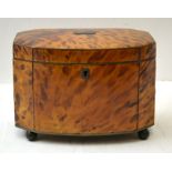 A 19TH CENTURY TORTOISESHELL TEA CADDY of bow fronted canted form, the hinged lid opening to