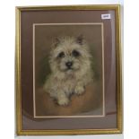 MARJORIE COX "Sporran", pastel drawing of a white Highland Terrier, signed, inscribed and dated