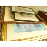 A SELECTION OF DECORATIVE PICTURES AND PRINTS VARIOUS