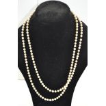 A LONG SINGLE STRAND OF CULTURED PEARLS, 0.6mm with yellow metal clasp, 128cm long