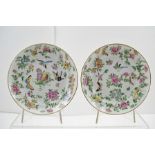 A PAIR OF CHINESE 19TH CENTURY POLYCHROME ENAMELLED DISHES depicting flora and fauna