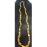 A STRING OF POLISHED HONEYCOMB COLOURED AMBER BEADS, 31cm long