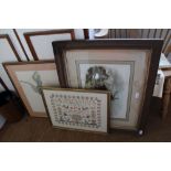 TWO DECORATIVE ANIMAL PRINTS together with a MODERN SAMPLER, each glazed and framed