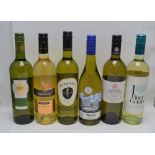 MIXED WHITE WINES to include; Eternal Western Cape 2014 Chenin Blanc, Mountain Vineyards Sauvignon