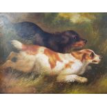 After ARMFIELD. Framed oil on board, study of two dogs, 26cm x 36.5cm.