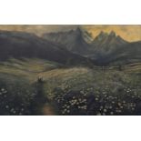 Large framed oil on canvas depicting spring meadows and mountainous scene, 89cm x 136cm.