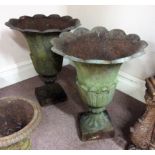 A pair of cast iron tulip design urns. Height 73cm.