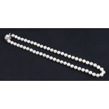 A standard long string of cultured pearls, with pearl set clasp, stamped Silver, length approx.