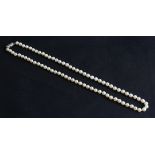 A string of pearls, with marcasite set clasp.