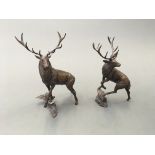 Art in Bronze Richard Cooper & Company limited edition 562 Wild Stag, with 577 Monarch, heights