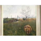 JAMES MAY. Framed, signed oil on board, cattle in rural landscape, 52.5cm x 52.5cm.