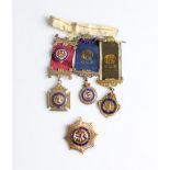 A collection of enamelled medallions relating to the Royal Antediluvian Order of Buffaloes, to