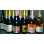 *15 x bottles assorted Sparkling Wine & Prosecco.