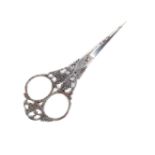 A pair of steel scissors, pointed tapering blades, the arms and loops decorated with fruiting vines,