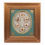 Buttons - a framed display of a set of six early 19th Century 'habitat' buttons, each containing one