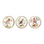 Buttons - a set of three 19th Century porcelain buttons, each painted with a bird on a branch within