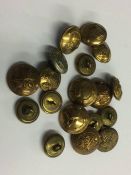 Collection of military brass buttons