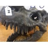 Cast model of a T-Rex skull