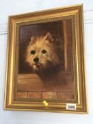 Oil on canvas, portrait of a Terrier, unsigned