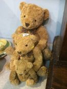 Three 'Connoisseur' bears