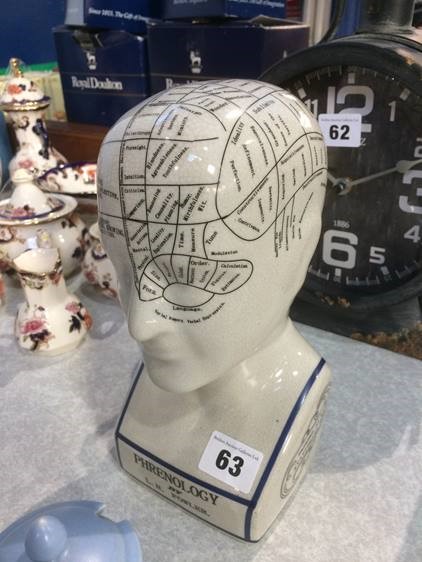 A phrenologists head