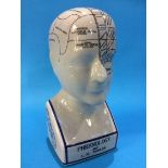 A Phrenology head