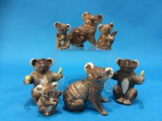 Seven various Beswick Koala bears