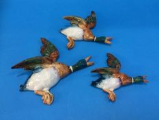 A set of three Beswick graduated wall ducks, numbe