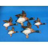 A set of five graduating Beswick ducks, number 596