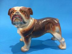 Model of a Bulldog