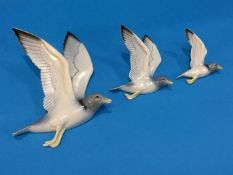 A set of three Poole graduated 'Gulls'