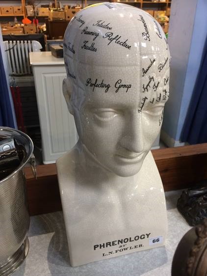 A large Phrenology head - Image 2 of 2