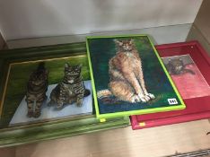 Three portraits of cats