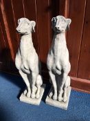 Pair of composite seated Whippets