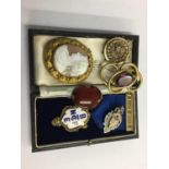 Various brooches, cameo etc.