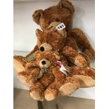 Three 'Ripley' bears